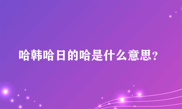 哈韩哈日的哈是什么意思？