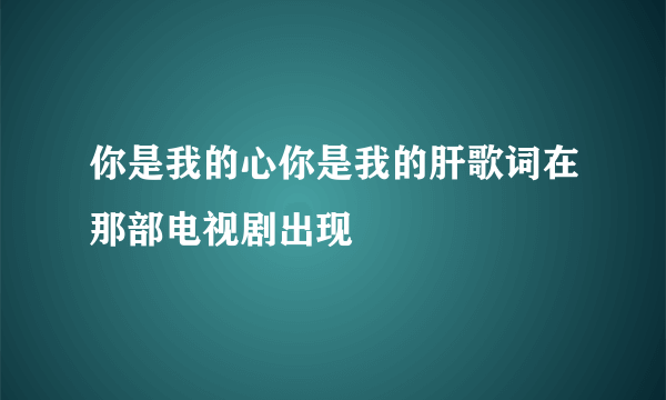 你是我的心你是我的肝歌词在那部电视剧出现