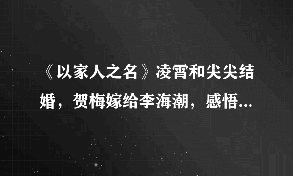 《以家人之名》凌霄和尖尖结婚，贺梅嫁给李海潮，感悟家在血缘前