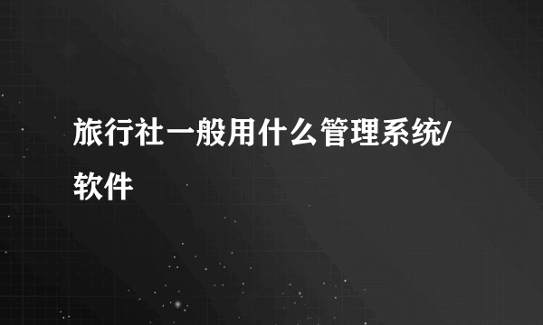 旅行社一般用什么管理系统/软件