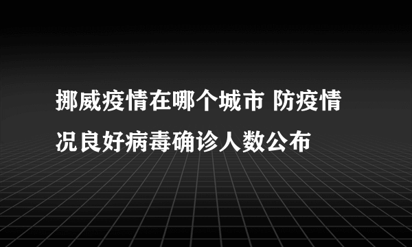 挪威疫情在哪个城市 防疫情况良好病毒确诊人数公布