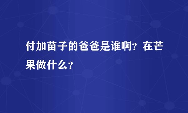 付加苗子的爸爸是谁啊？在芒果做什么？