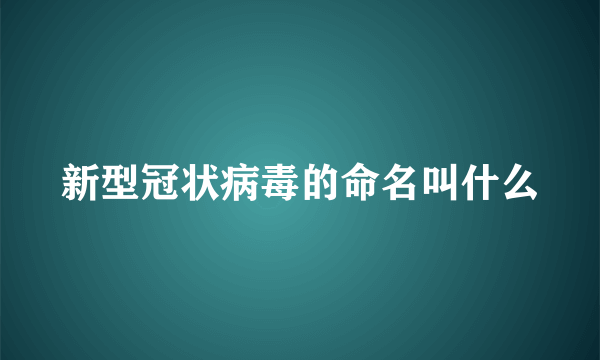 新型冠状病毒的命名叫什么