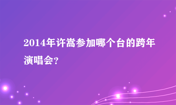 2014年许嵩参加哪个台的跨年演唱会？