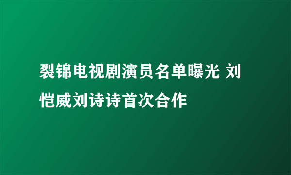 裂锦电视剧演员名单曝光 刘恺威刘诗诗首次合作