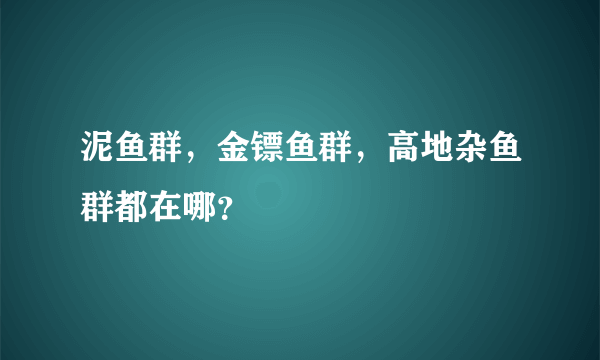 泥鱼群，金镖鱼群，高地杂鱼群都在哪？