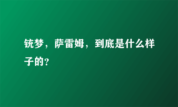 铳梦，萨雷姆，到底是什么样子的？