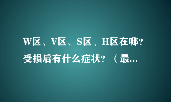 W区、V区、S区、H区在哪？受损后有什么症状？（最好回答的具体一点儿）谢啦！！！