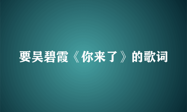 要吴碧霞《你来了》的歌词