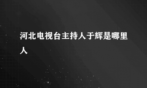 河北电视台主持人于辉是哪里人