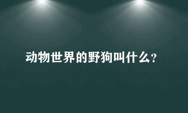 动物世界的野狗叫什么？