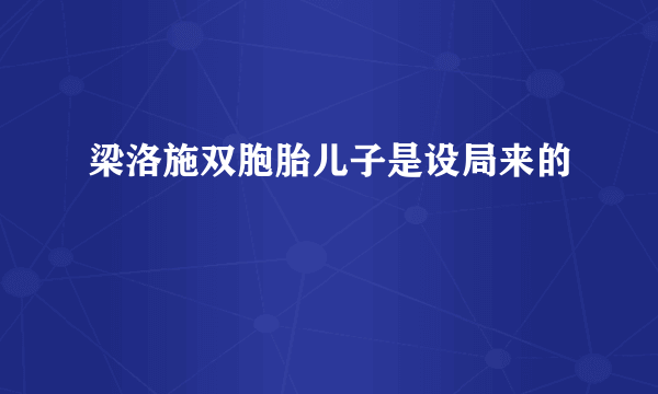 梁洛施双胞胎儿子是设局来的