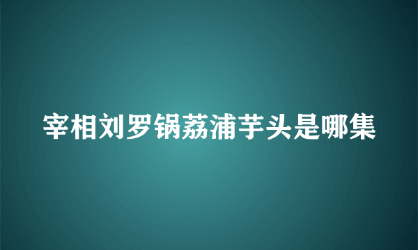 宰相刘罗锅荔浦芋头是哪集