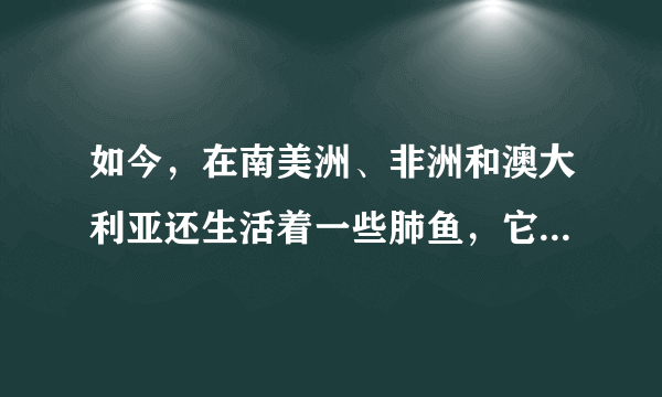 如今，在南美洲、非洲和澳大利亚还生活着一些肺鱼，它们在有水的环境中用鳃呼吸，在干旱缺水时用肺呼吸，而且两种呼吸器官都有，各有各的用处.你认为下列哪种进化趋势最符合以上叙述（　　）A.鱼类→两栖动物B.用肺呼吸→用鳃呼吸C.鱼类→爬行动物D.陆生→水生