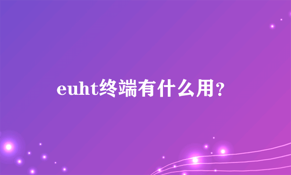 euht终端有什么用？