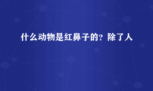 什么动物是红鼻子的？除了人