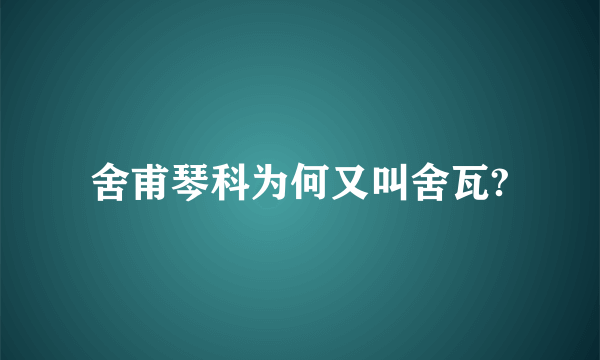 舍甫琴科为何又叫舍瓦?