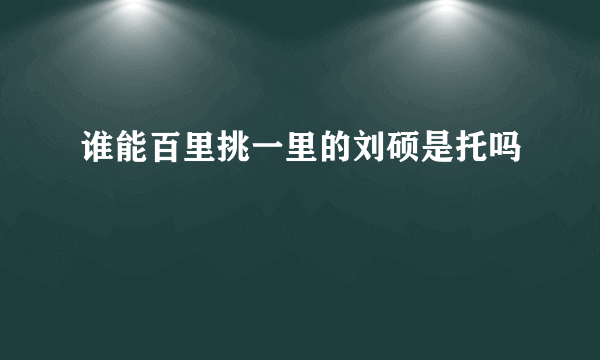 谁能百里挑一里的刘硕是托吗