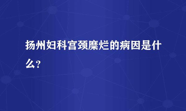 扬州妇科宫颈糜烂的病因是什么？