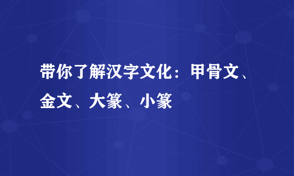 带你了解汉字文化：甲骨文、金文、大篆、小篆