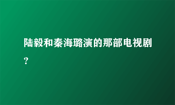 陆毅和秦海璐演的那部电视剧？