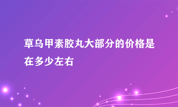 草乌甲素胶丸大部分的价格是在多少左右