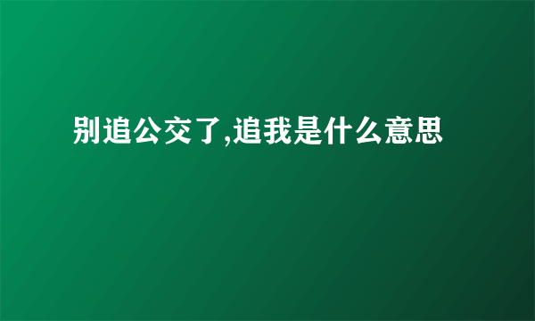 别追公交了,追我是什么意思