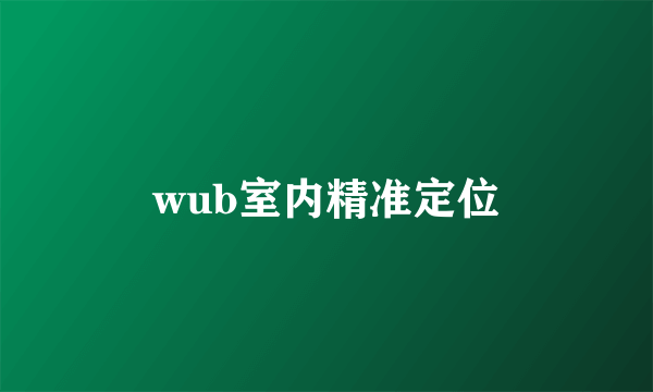 wub室内精准定位