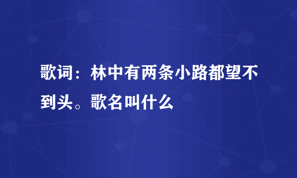 歌词：林中有两条小路都望不到头。歌名叫什么