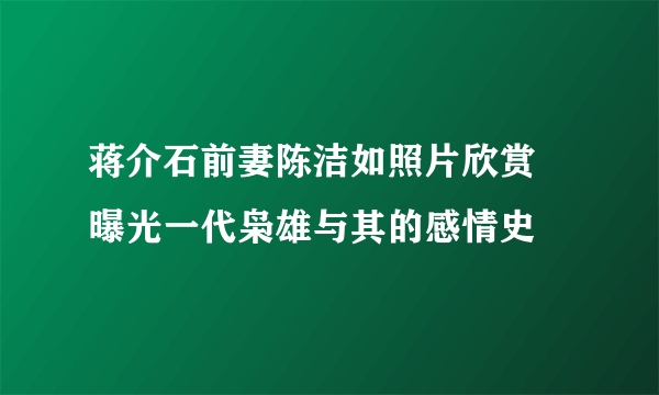 蒋介石前妻陈洁如照片欣赏 曝光一代枭雄与其的感情史