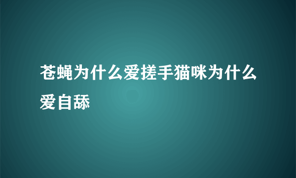 苍蝇为什么爱搓手猫咪为什么爱自舔