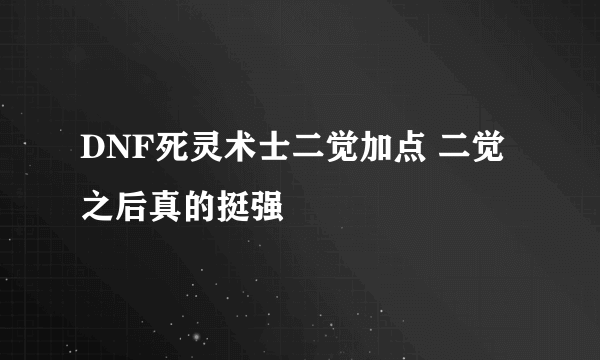 DNF死灵术士二觉加点 二觉之后真的挺强