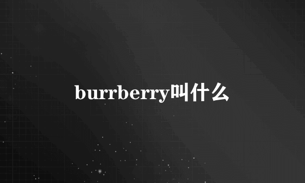 burrberry叫什么