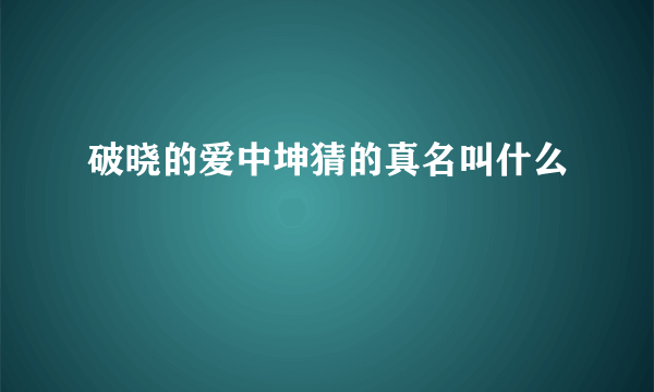 破晓的爱中坤猜的真名叫什么