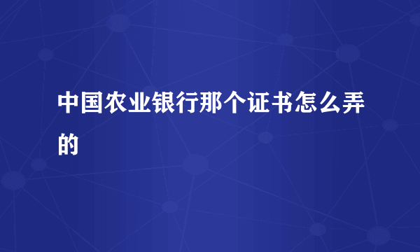 中国农业银行那个证书怎么弄的