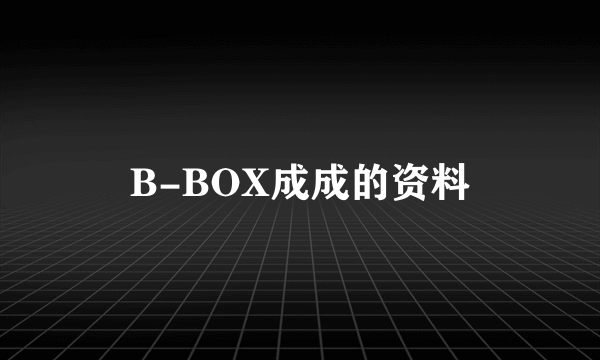 B-BOX成成的资料