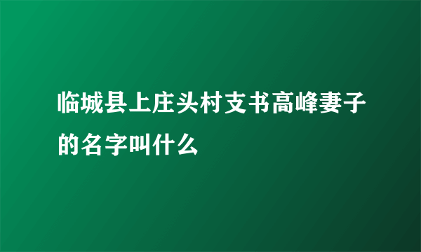 临城县上庄头村支书高峰妻子的名字叫什么