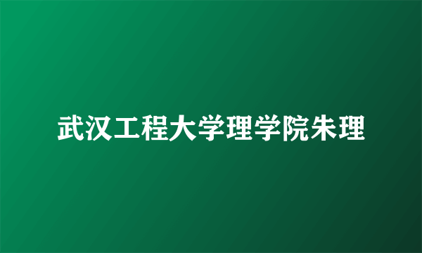 武汉工程大学理学院朱理