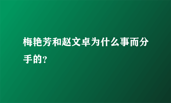 梅艳芳和赵文卓为什么事而分手的？