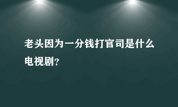 老头因为一分钱打官司是什么电视剧？