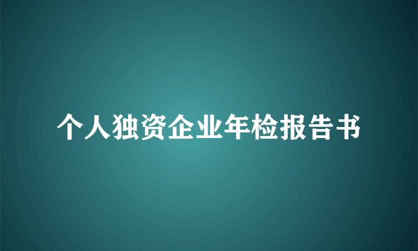 个人独资企业年检报告书