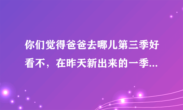 你们觉得爸爸去哪儿第三季好看不，在昨天新出来的一季，我觉得不好看，没什么意思，你们觉得呢？