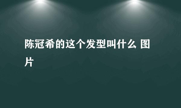 陈冠希的这个发型叫什么 图片