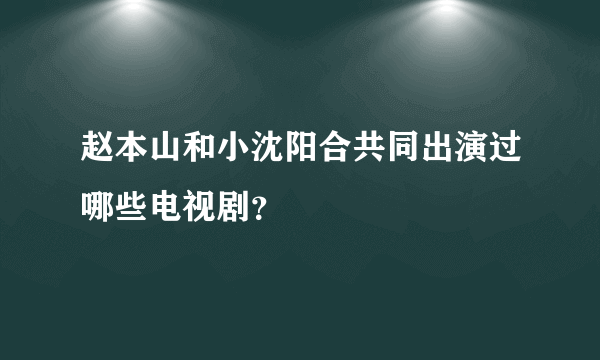 赵本山和小沈阳合共同出演过哪些电视剧？