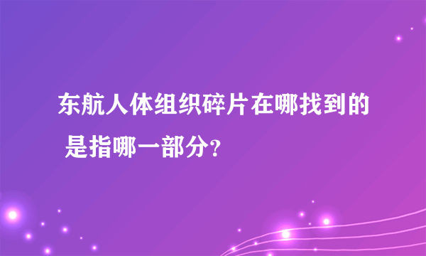 东航人体组织碎片在哪找到的 是指哪一部分？