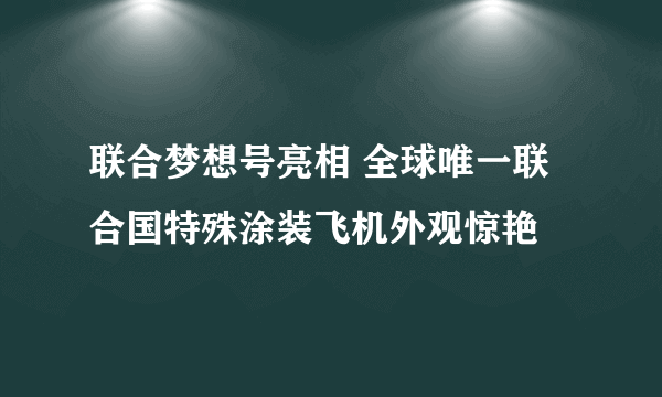 联合梦想号亮相 全球唯一联合国特殊涂装飞机外观惊艳