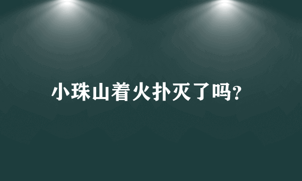 小珠山着火扑灭了吗？