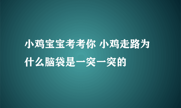 小鸡宝宝考考你 小鸡走路为什么脑袋是一突一突的