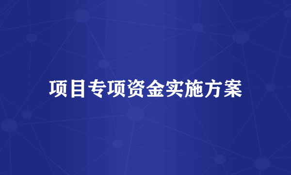 项目专项资金实施方案