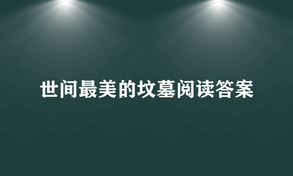 世间最美的坟墓阅读答案